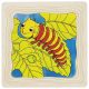 Pillangó fejlődése - Réteg puzzle - Goki